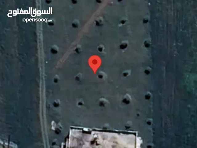 Mixed Use Land for Sale in Salt Al Balqa'