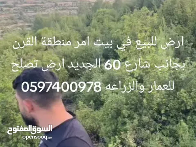 ارض ممتازة جدا