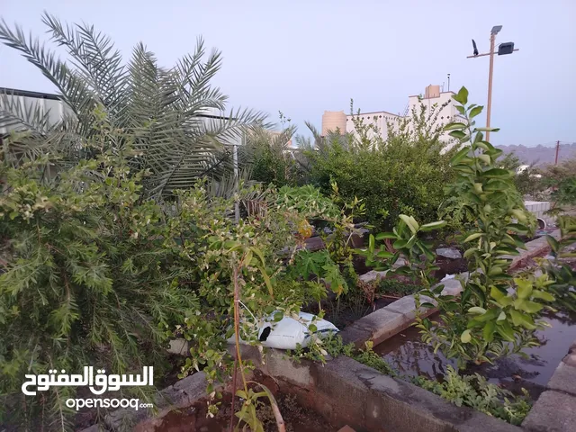 2 Bedrooms Chalet for Rent in Al Sharqiya Dima and Al Taaiyin