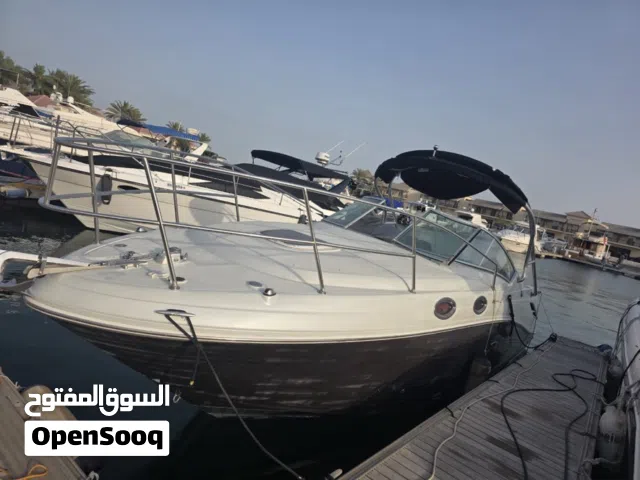 Sea ray for sale