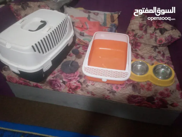 اغراض قطه كامله معه البيت
