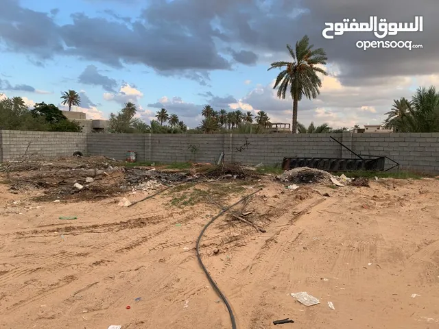 Commercial Land for Rent in Tripoli Arada