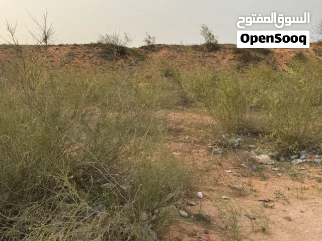 500 متر وادي الربيع البازيد
