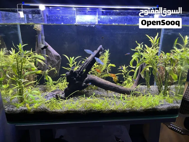 حوض سمك مع كامل اغراضه للبيع