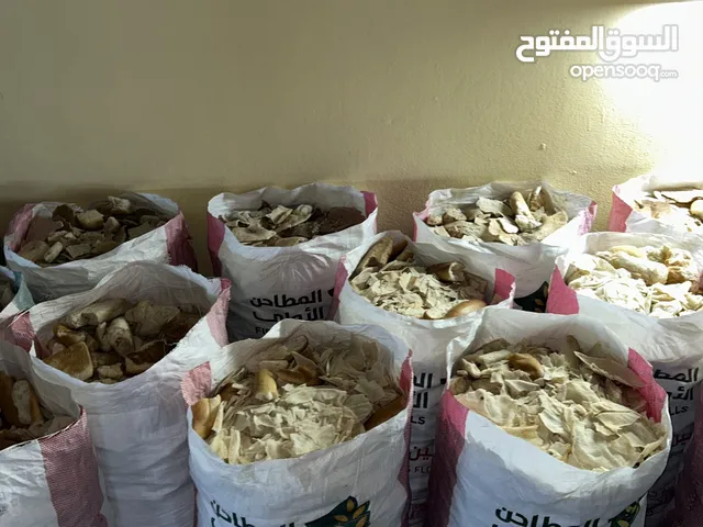 السلام عليكم ورحمة الله وبركاته خبز ناشف مكسر مخابز لايوجد خراب تجميع المخابز رقم