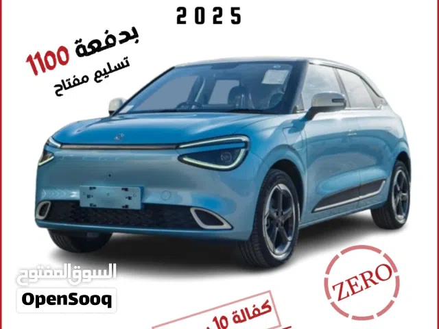 2025, Dongfeng, Nammi Box