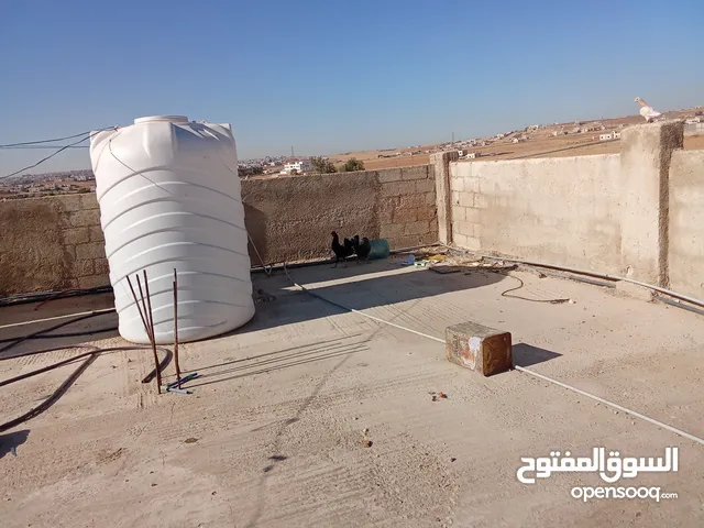 دجاج للبيع