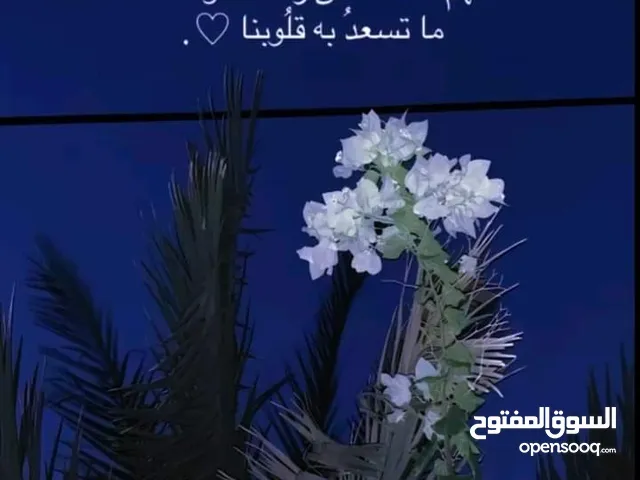 رائم الغول