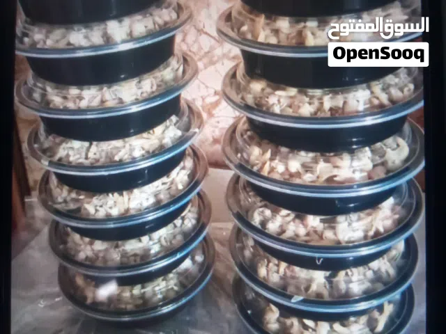 البيع دوك مال اليوم العدد14حبه