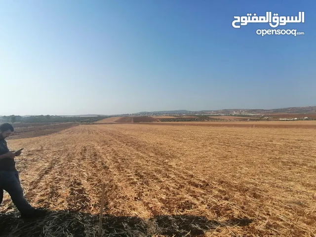 Farm Land for Sale in Jenin Beit Qad