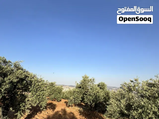 فرصة ذهبية  أرض مميزة للبيع في أجمل مناطق جرش