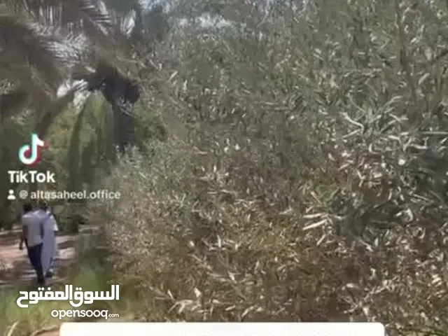 قطع ارض زراعية للبيع مساحة 5 دوانم