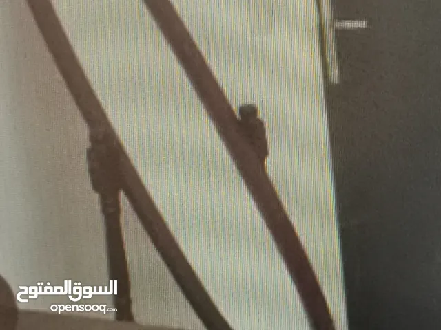 مرايه متحركه للبيع