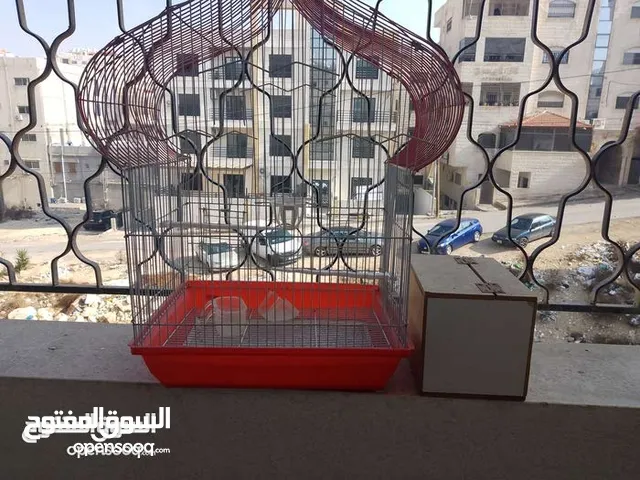 قفص عصافير مميز