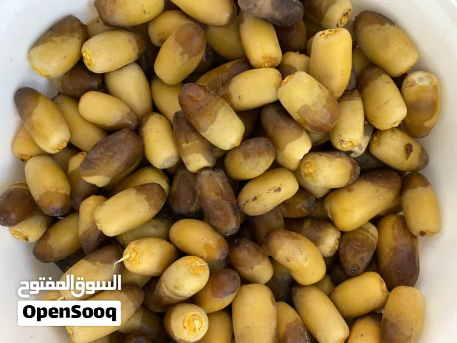 يتوفر رطب بشكل يومي