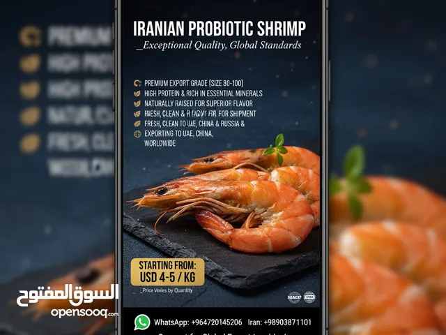 (روبيان إيراني بروبيوتيك) Premium Probiotic Iranian Shrimp 80–100 Size  Export Quality