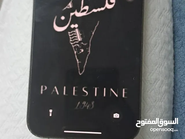 Apple iPhone 12 Pro Max 256 GB in Irbid