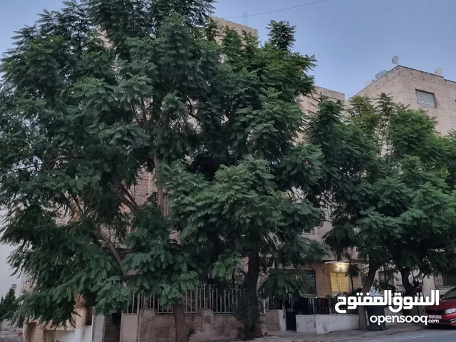شقه مفروشه للايجار تلاع العلي خلف سوق السلطان من المالك مباشره