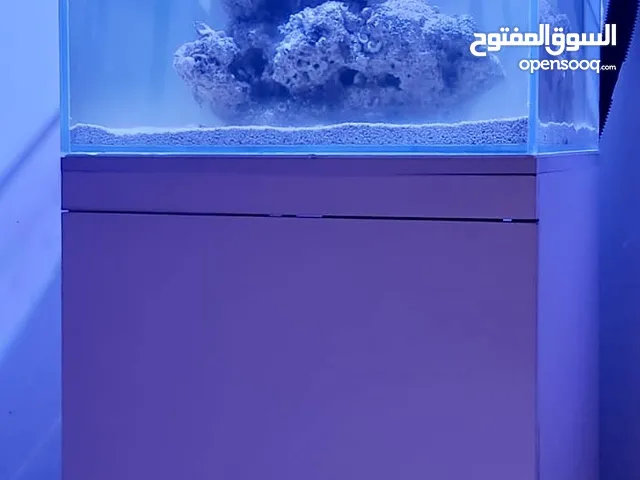 AQUARIUMS FOR SALE (Marine and freshwater)
