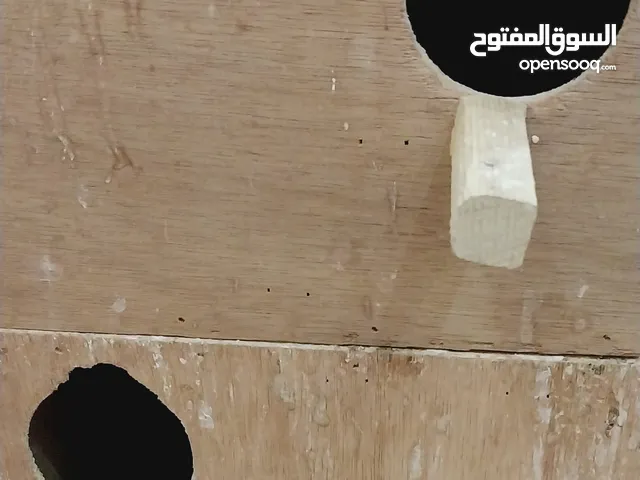بياضه بسعر عرطه