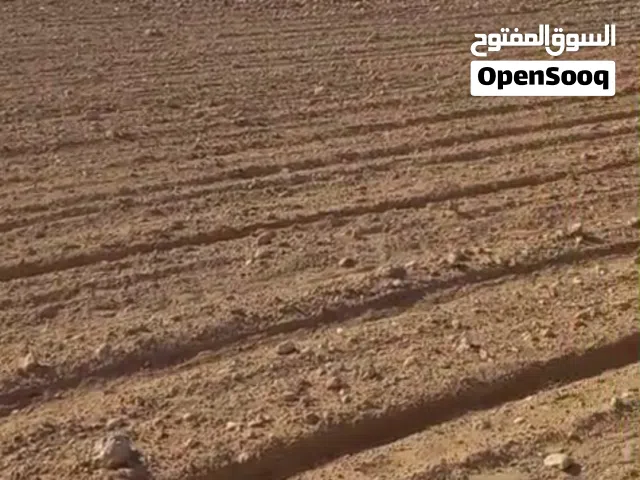 Industrial Land for Sale in Zarqa Al Zarqa Al Jadeedeh
