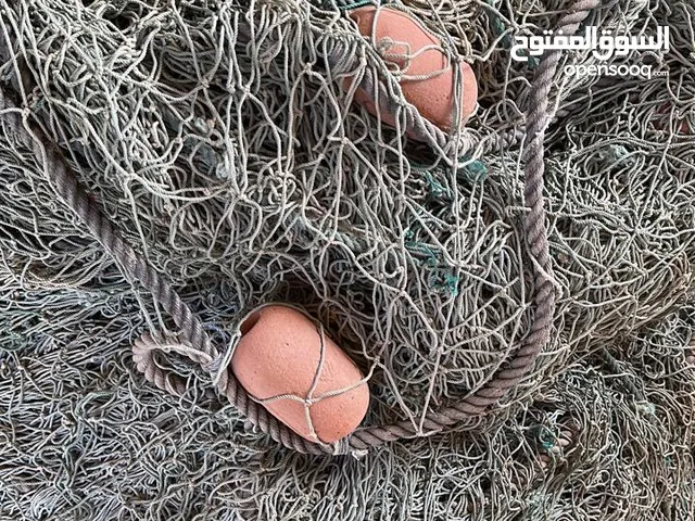 لبيع ليخ منصب اصلي كنعد