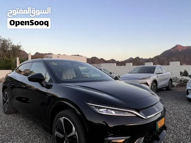 2025 بي واي دي سونج ل