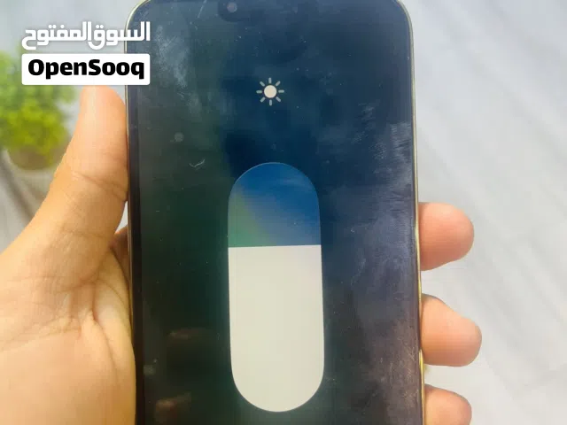 13 برو مكس