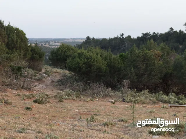 Mixed Use Land for Sale in Jebel Akhdar Bayda