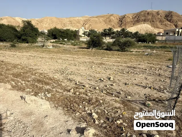 Residential Land for Rent in Jericho Ad Duyuk
