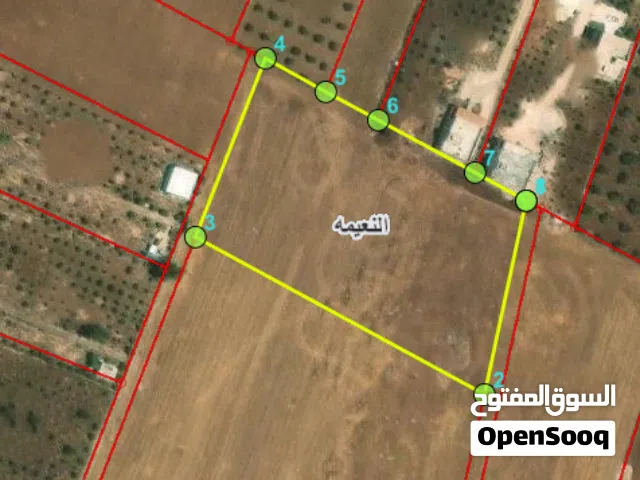Residential Land for Sale in Irbid An-Nuayyimah