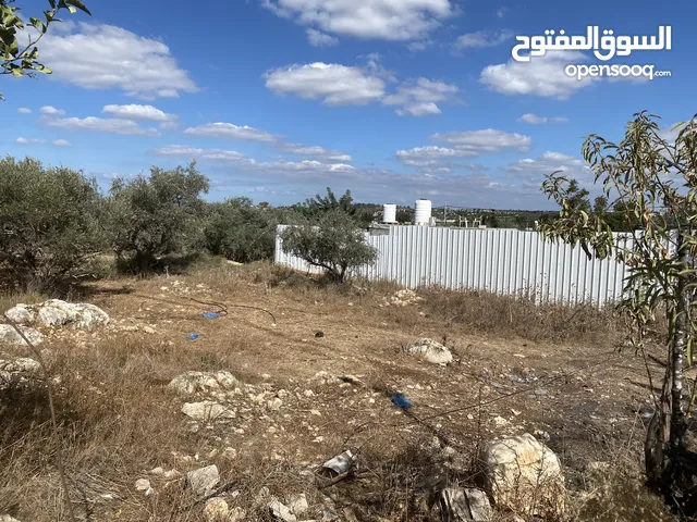 Mixed Use Land for Sale in Qalqilya Al-Marj