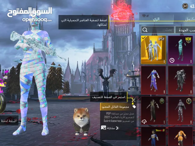 Pubg Accounts and Characters for Sale in Taiz