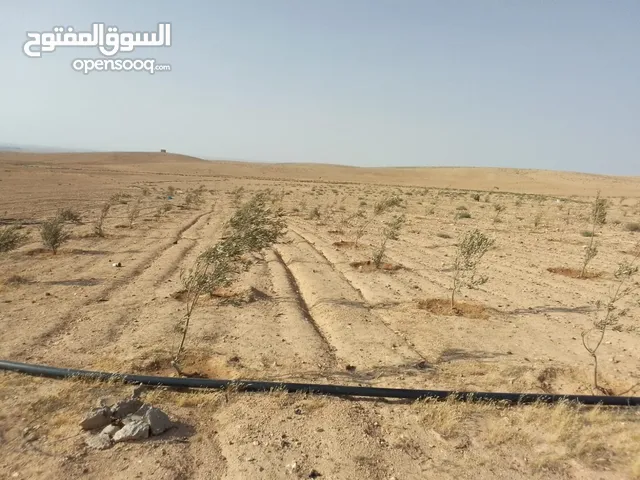 Farm Land for Sale in Amman Al-Muwaqqar