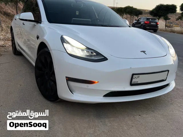 2019 تيسلا موديل 3 Standard Plus