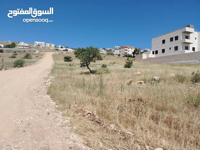 دنم مميز القسام الشرقي قرب جامعة البقاء سهلة مثل الكف