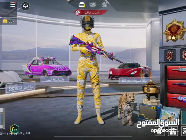 Pubg Accounts and Characters for Sale in Amman