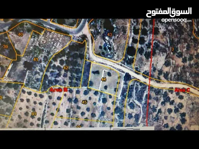 امين محمد جبر