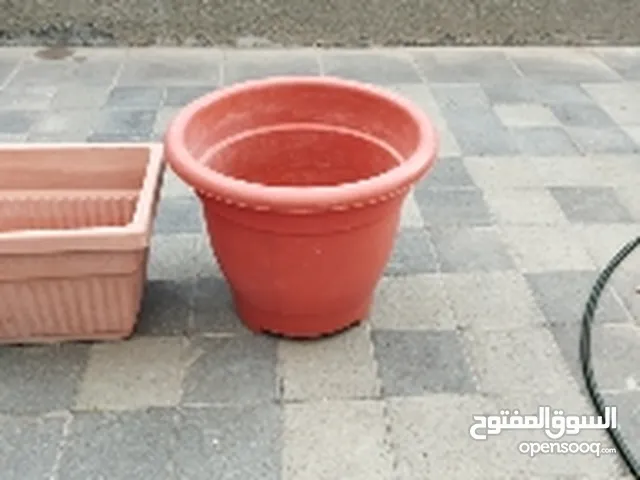 plant pot for sale all for 5 omr