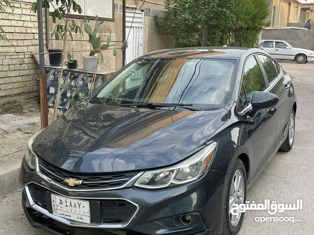 شوفر كروز 2017
