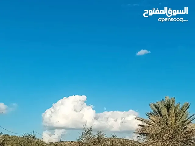 ارض للبيع مساحه 1000 متر