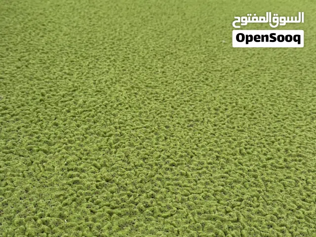ازولا خضراء طازجه و فرش