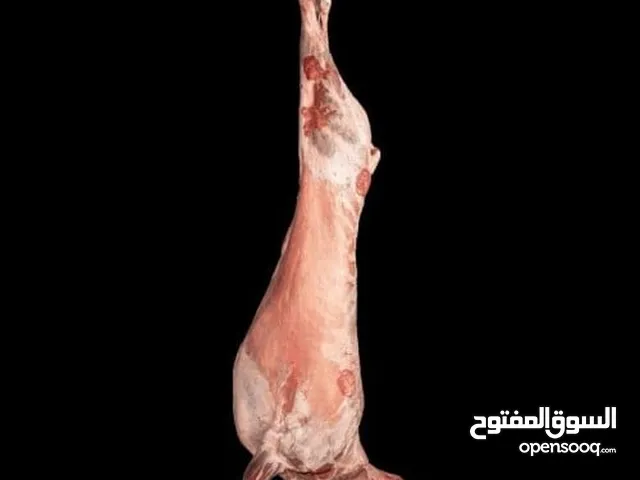ذبح الأضاحي