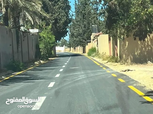 ارض في موسي كوسا
