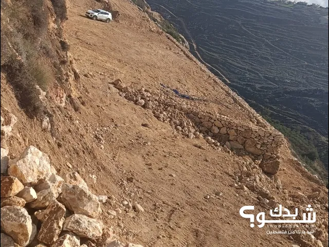 دونم و800 متر في ابو نجيم واد رحال
