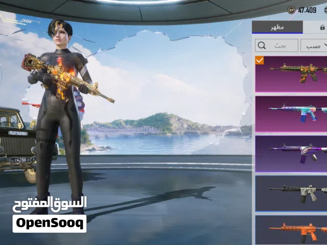 Pubg Accounts and Characters for Sale in Jenin
