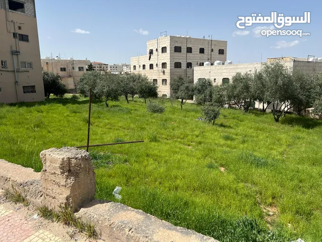 Commercial Land for Sale in Madaba Al-Fayha'