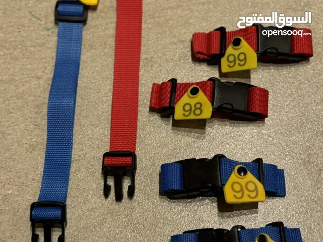 اطواق ترقيم اغنام