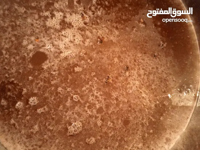 عسل سدر ربي يبارك للبيع حوالي80 كيلو