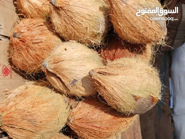 كزاب  جوز الهند